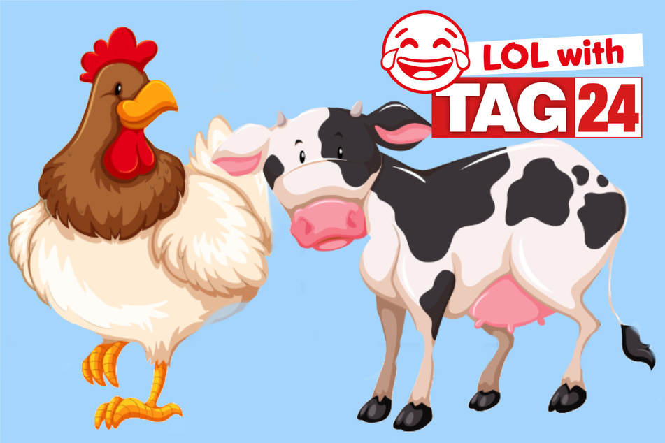 Today's Joke of the Day asks, "Which came first: the chicken or the cow?"
