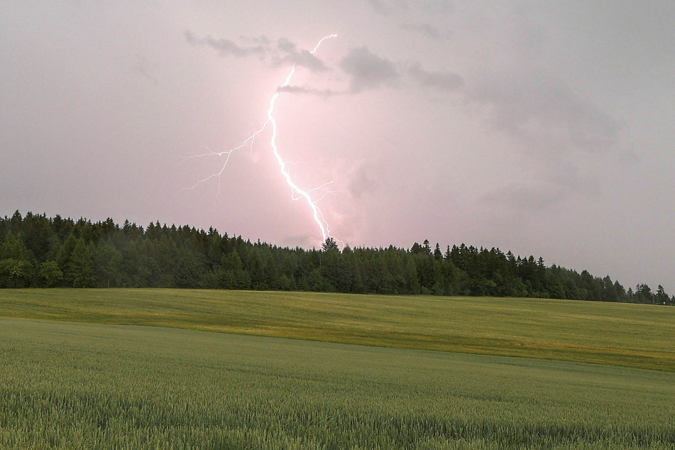 Am 27. Juni 2022 schlug bei Langenau in der Nähe von Freiberg ein Blitz ein.
