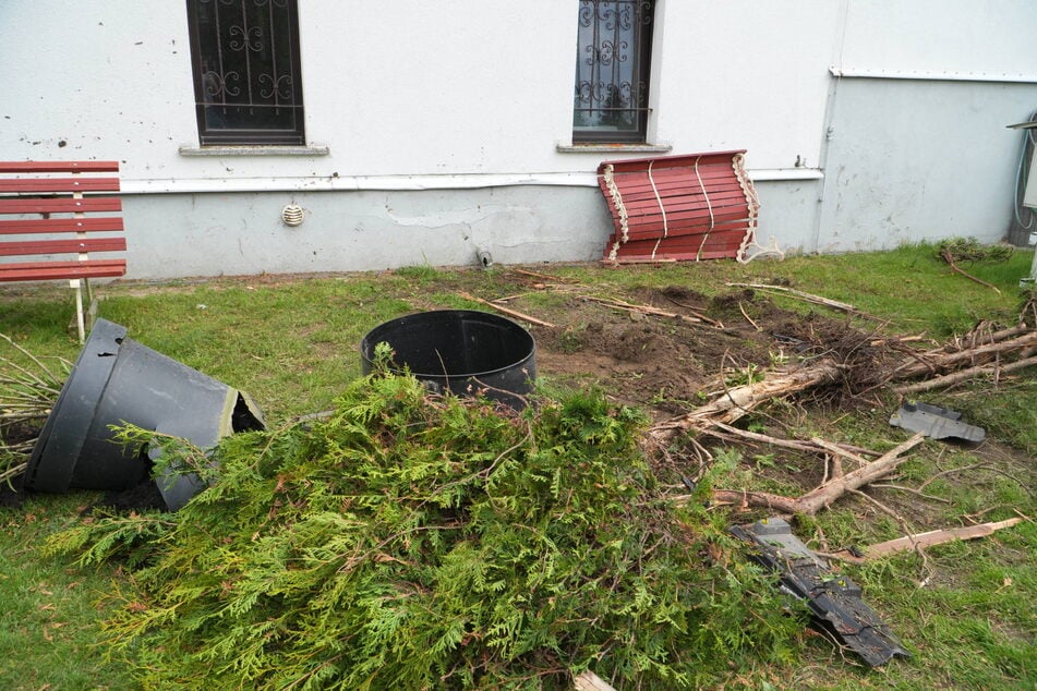 Auch in dem Garten herrscht Chaos pur.