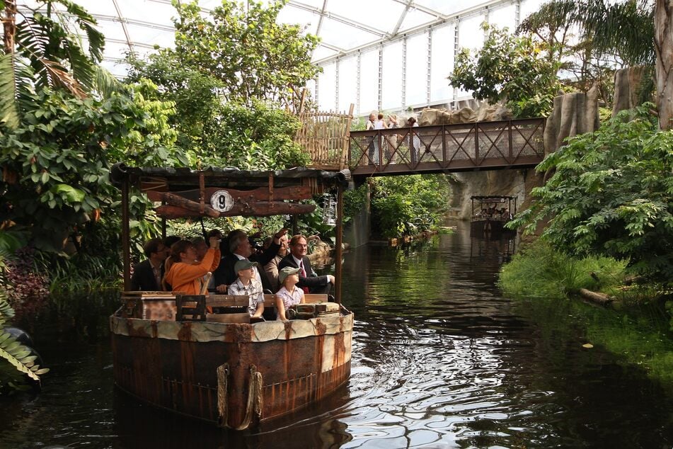 Gefeiert wird in der Tropenerlebniswelt Gondwanaland im Zoo Leipzig. (Archivbild)