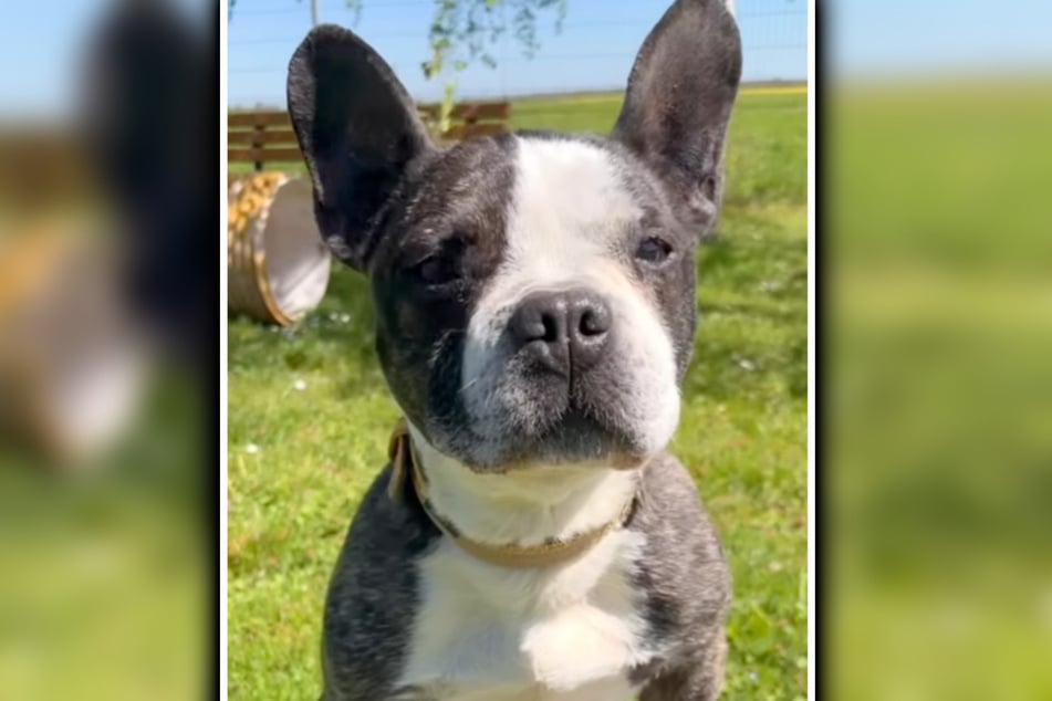 ¿Bruno no será fácil de entender? ¿Aún hay esperanza para él?