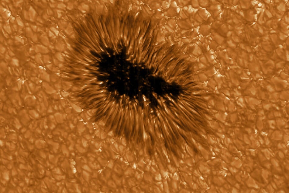 Ein Sonnenfleck in höchster Auflösung, beobachtet mit dem GREGOR Teleskop bei einer Wellenlänge von 430 nm. Gestochen scharfe Bilder der Feinstruktur der Sonne hat das größte europäische Sonnenteleskop Gregor aufgenommen.