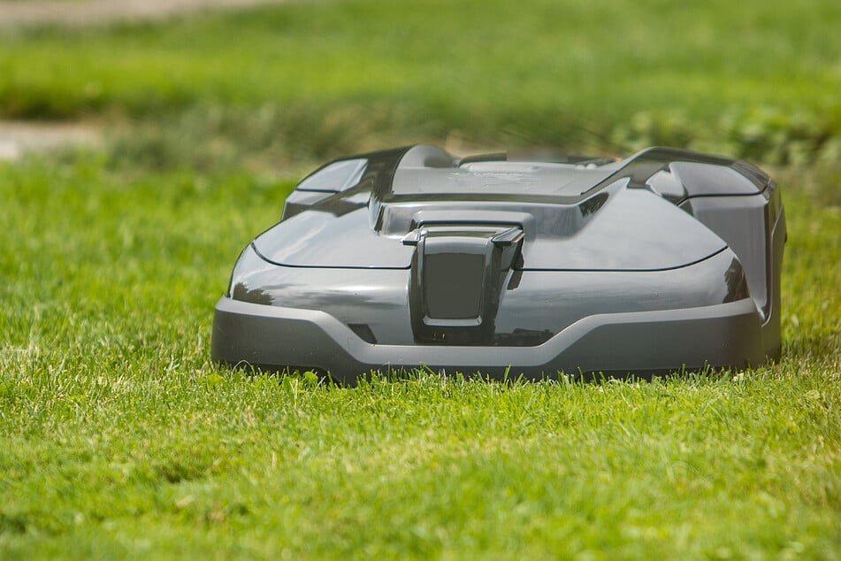 Mähroboter können für schwere Zwischenfälle sorgen. (Symbolbild)