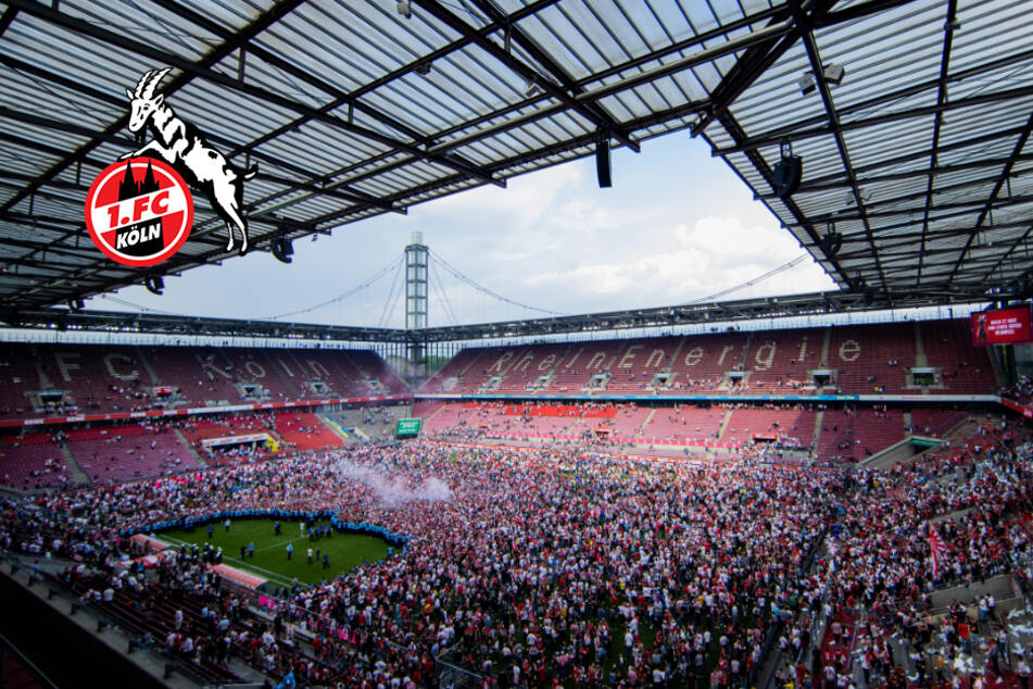 Nach Platzsturm gegen den VfL Wolfsburg: DFB reduziert Strafe gegen den 1. FC Köln