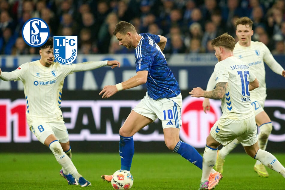 Drei Tore reichen nicht: FCM verliert Acht-Tore-Spektakel auf Schalke