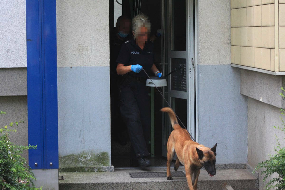 Auch ein Spürhund kommt bei der Durchsuchung zum Einsatz.
