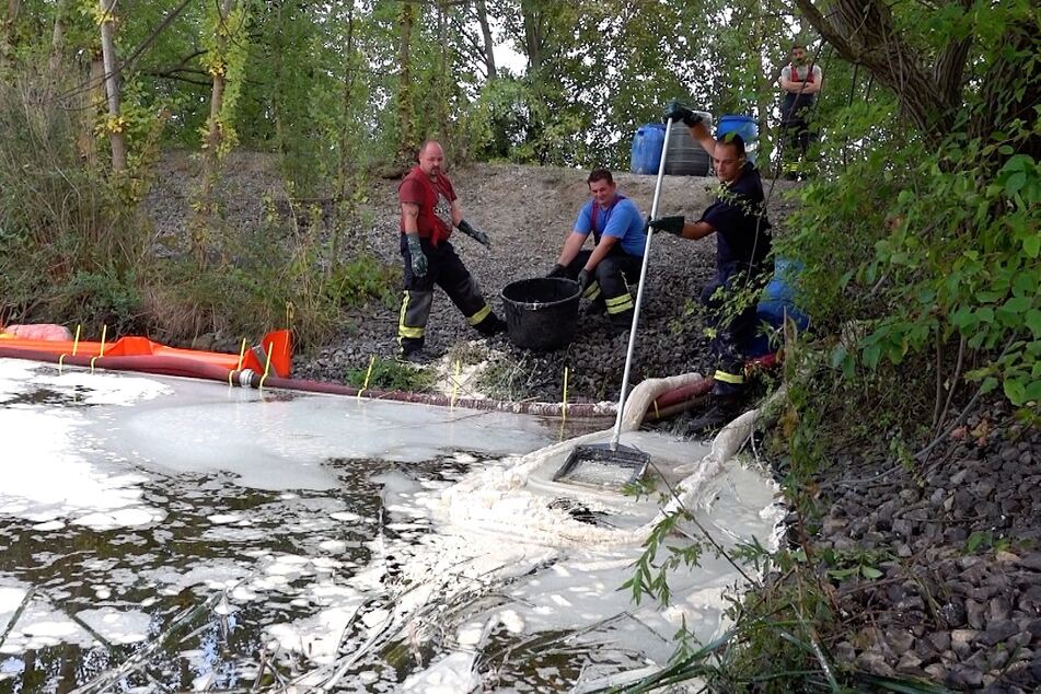 Seit Sonntag bekämpft die Feuerwehr bei Harsleben eine ölige Flüssigkeit, die sich in der Natur ausgebreitet hat. Der Grund dafür ist noch unklar.