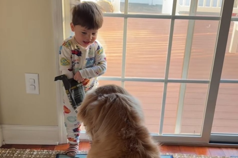 What a selfless boy: instead of thinking of himself, he gets Golden Retriever Hudson the treats.