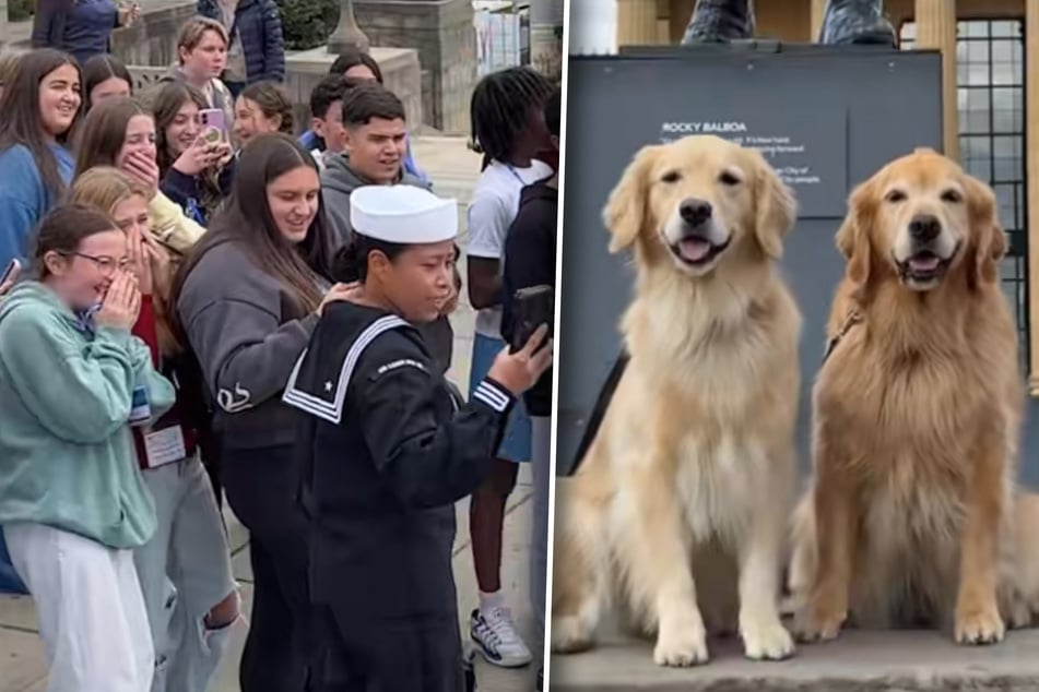 Wo sie auftauchen, ist die Begeisterung nicht weit: Golden Retriever Emma (links) und Artgenossin Ellie.