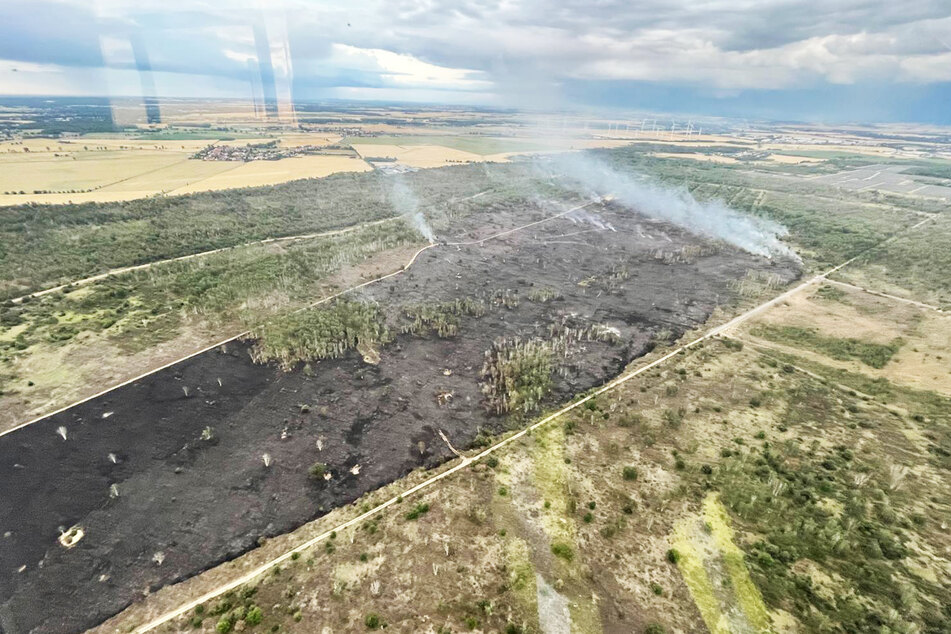 Mittlerweile sind 150 Hektar abgebrannt.