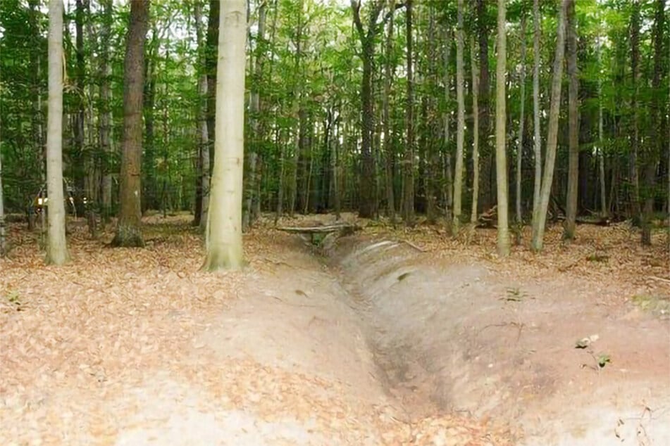 In diesem Flutgraben in der Dölauer Heide wurde das Opfer von Spaziergängern gefunden.