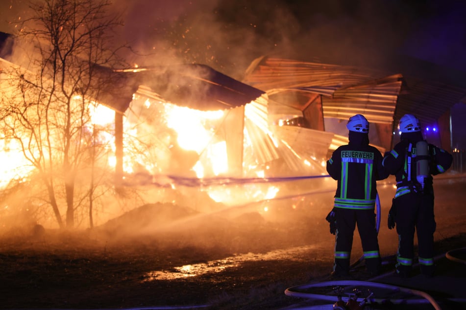 Die Feuerwehr ließ die Halle kontrolliert abbrennen.
