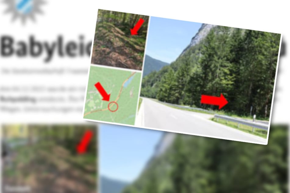 Aktenzeichen XY: Aktenzeichen XY: Totes Baby in Wald gefunden, Hinweise nach TV-Ausstrahlung