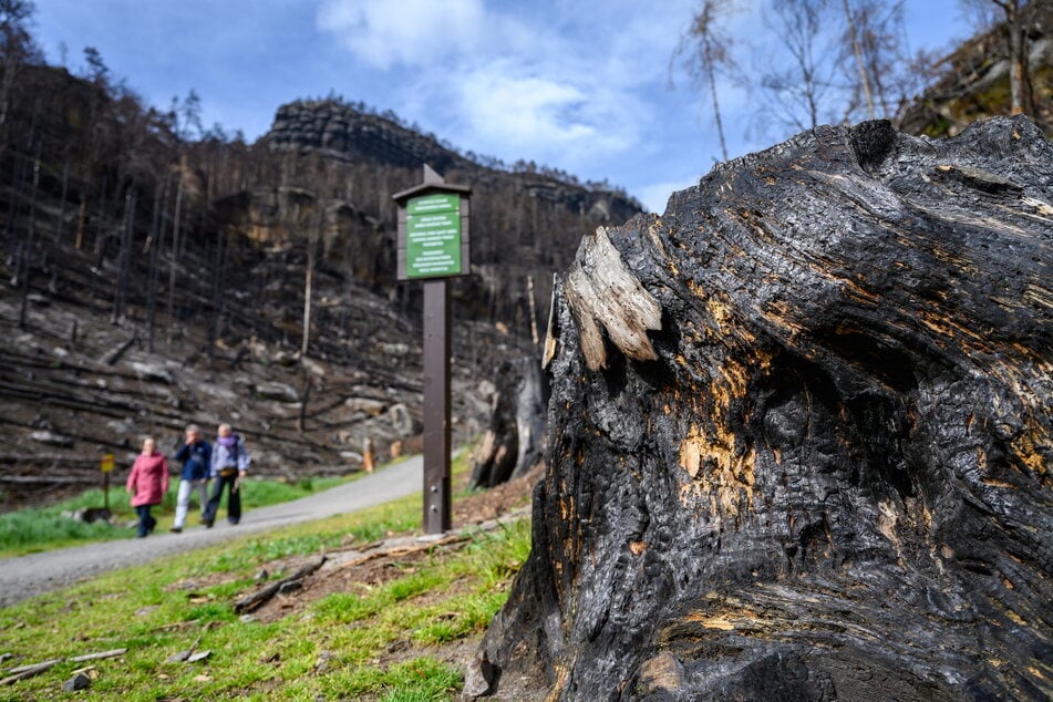 Der Weg zum Prebischtor führt über privaten Grund.