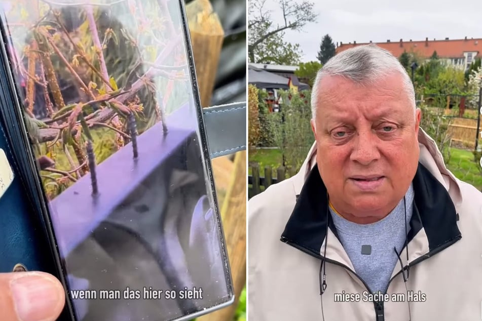 Sächsischer Gartensheriff über jahrelangen Streit unter Nachbarn: "Hab ne ganz miese Sache am Hals"