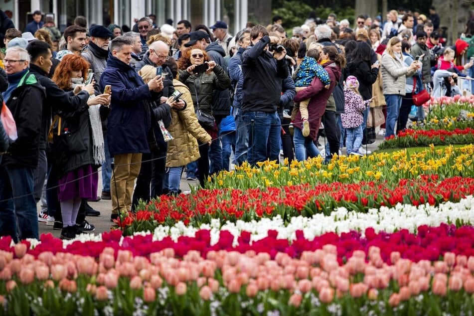 Der weltberühmte Keukenhof südwestlich von Amsterdam zieht jährlich Tausende Besucher an.