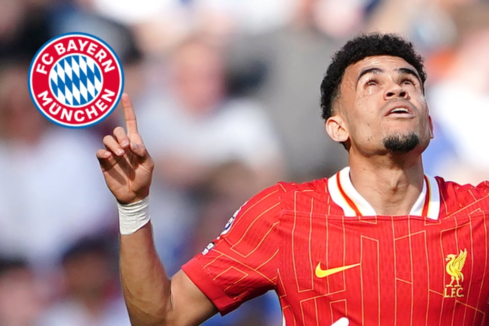 Einer der teuersten Transfers der Bundesligageschichte: FC Bayern verpflichtet Luis Díaz