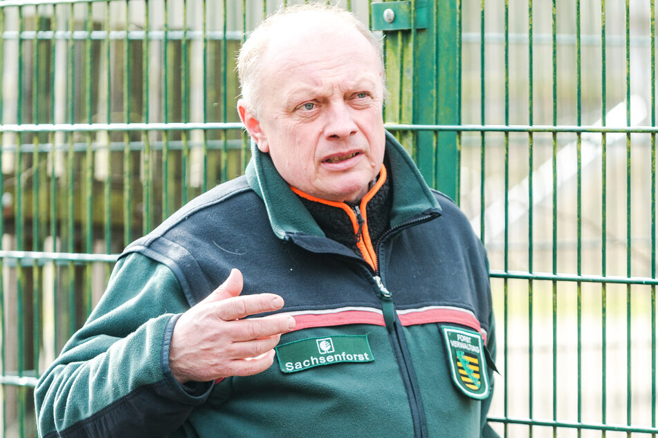 Hat einiges vor: Förster Ronald Ennersch (55) leitet den Wildpark seit 2019.
