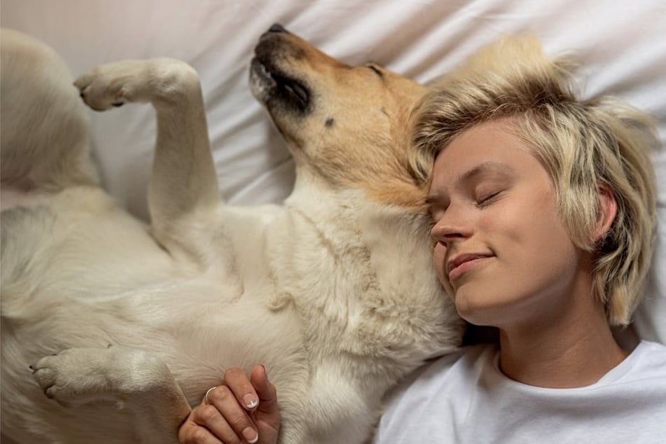 Deshalb ist Kontaktliegen mit Deinem Hund so wertvoll