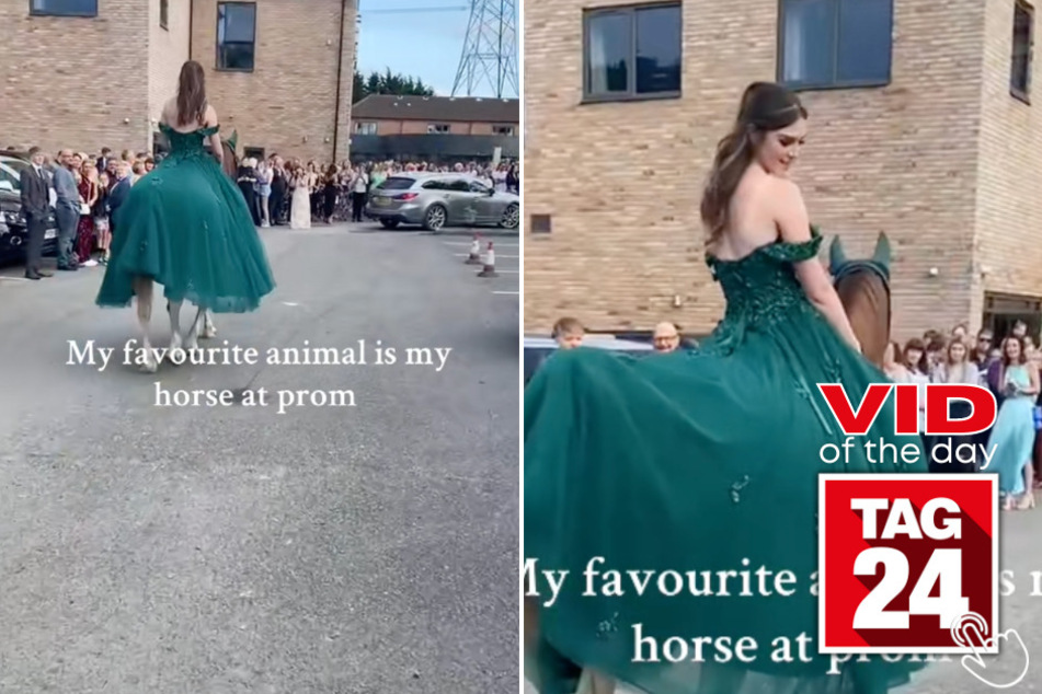 Today's Viral Video of the Day features a girl making a grand prom entrance on horseback - but things took a smelly turn at the entrance!