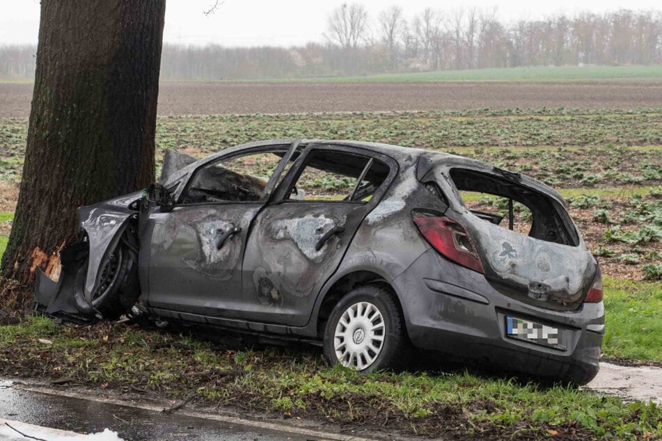 Der Opel Corsa kam nach rechts von der Fahrbahn ab und fing Feuer, als er gegen einen Baum prallte.