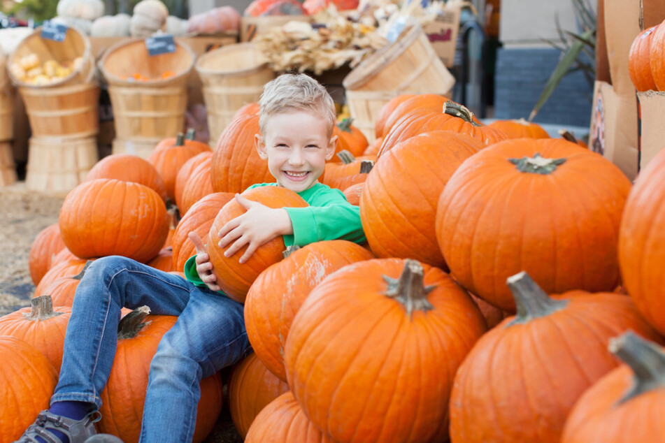 Der Herbstmarkt hat besonders für die Kinder eine Menge zu bieten. (Symbolbild)