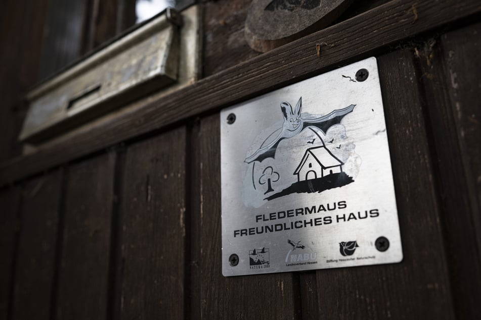 Das Beste: Bei Veranstaltungen wie "Fledermaus &amp; Bahnhof" oder vereinbarten Führungen kann man selbst einen Blick riskieren.