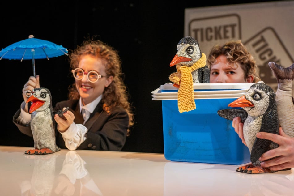 Eine wilde Reise liegt vor den drei Pinguinen.