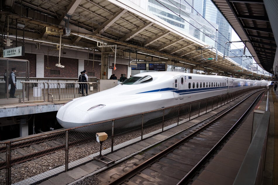 In Japan hat ein Schwan Japans weltberühmten Hochgeschwindigkeitszug Shinkansen ausgebremst.