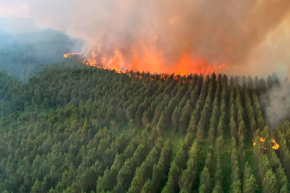 Gefahr von Waldbränden: Land mahnt zu besonderer Wachsamkeit