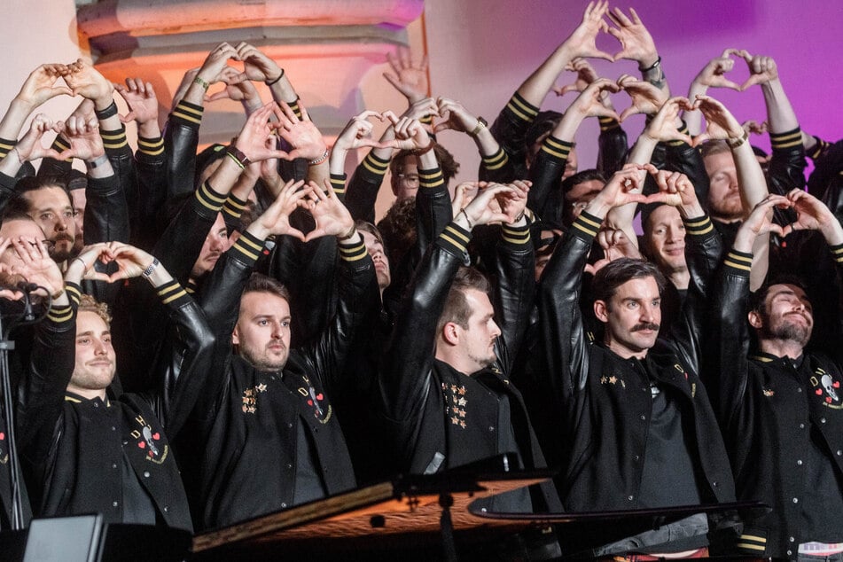 Die Hamburger Goldkehlchen sind für ihre ansteckende Energie bekannt. (Archivbild)