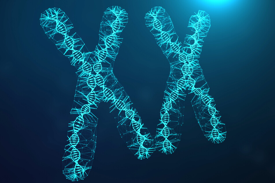 Frauen haben normalerweise zwei X-Chromosomen. Die junge Chinesin kam jedoch mit der männlichen XY-Chromosom-Verteilung zur Welt (Symbolbild).