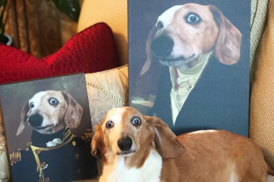 Wer selbst ein adeliges Haustierportrait anfertigen lassen möchte, dem stehen zahlreiche Motivvorlagen zur Verfügung.