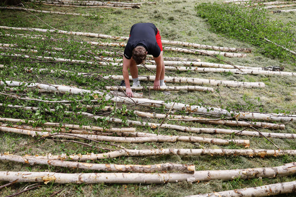 Am Mittwoch startet vielerorts der Verkauf der Bäume.