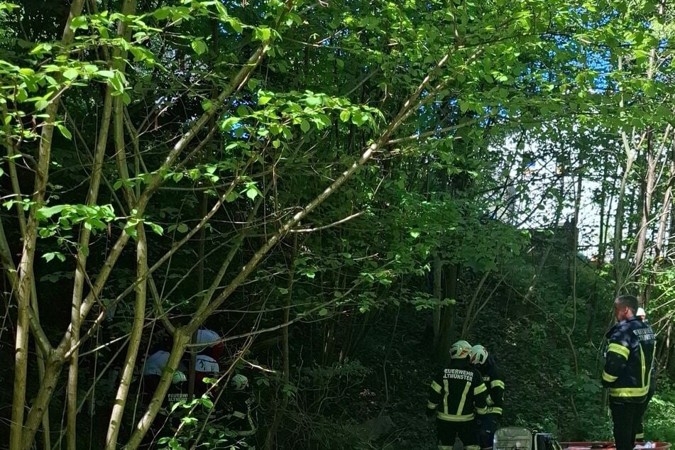 Die Feuerwehr musste zunächst das dichte Gestrüpp entfernen, um den jungen Mann bergen zu können.