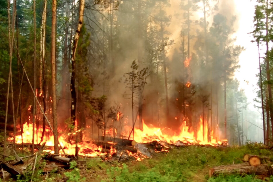 Das Videostandbild zeigt einen Waldbrand in der Republik Sacha (bestmögliche Qualität). Begleitet von ungewöhnlich hohen Temperaturen breiten sich die Waldbrände weiter aus.