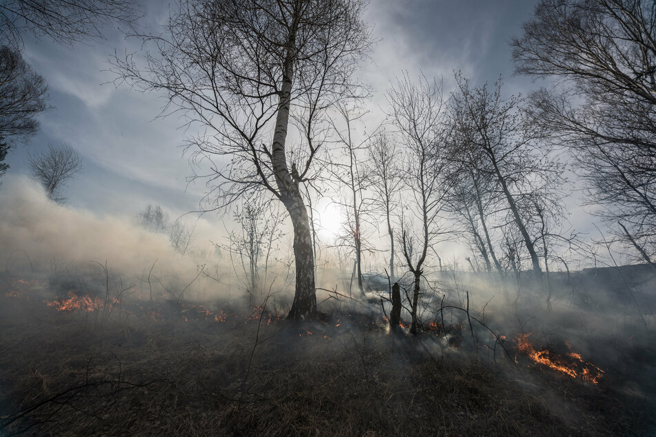 Climate change has exacerbated the number of natural disasters worldwide such as flooding and wildfires (stock image).