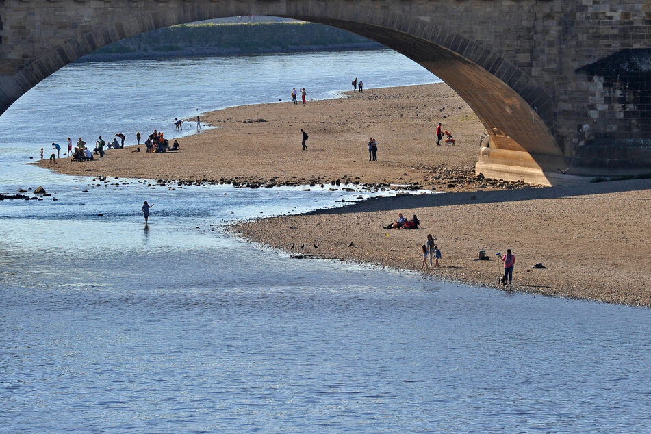 Verwirbelungen an den Pfeilern an der Augustusbrücke könnten den Mädchen zum Verhängnis geworden sein.