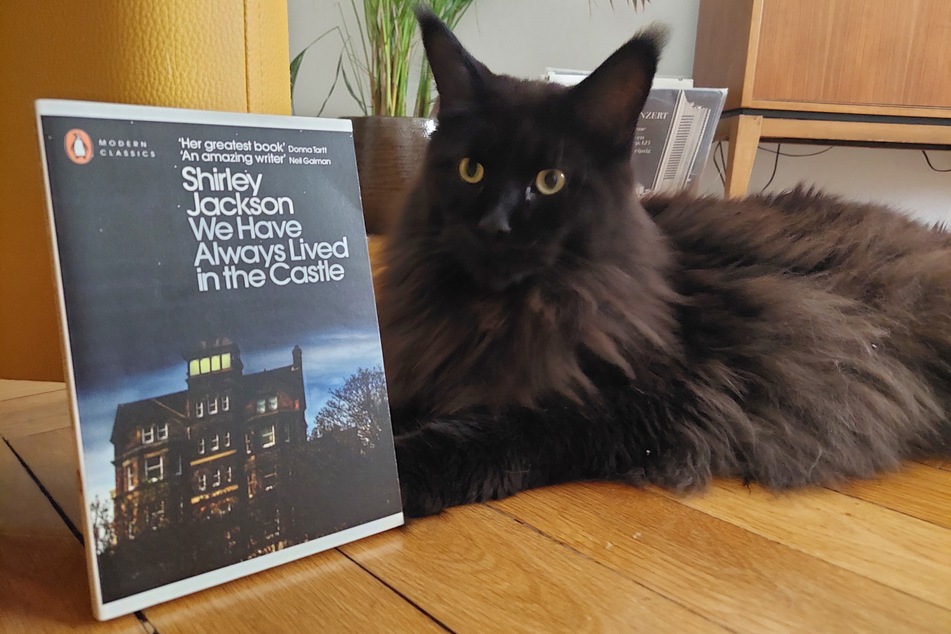 Shirley Jackson's masterpiece We Have Always Lived in the Castle is a concise, gripping mystery with a one-of-a-kind female protagonist.