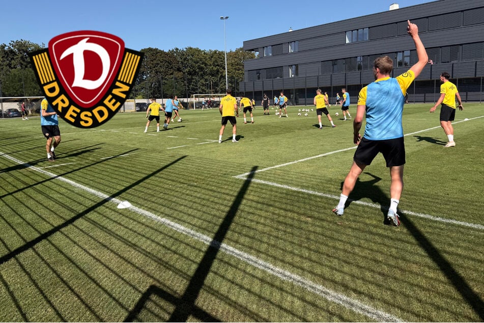 Dynamo-Dresden-Blog: SGD-Training mit fast voller Kapelle