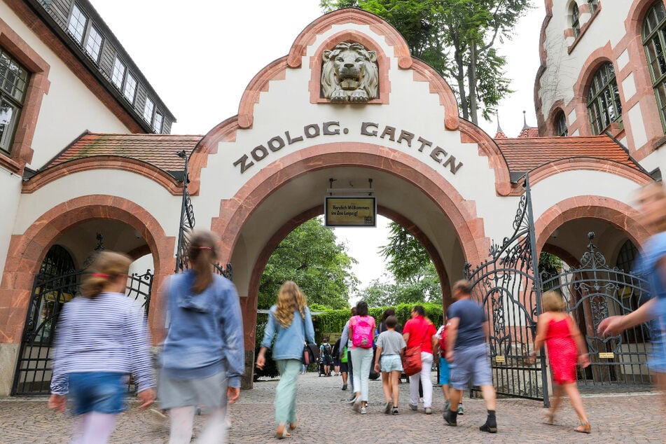 Die Zoo-Besucher können fast alles wieder nutzen. (Archivfoto)