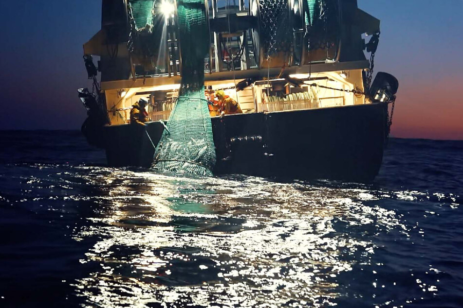 Szene aus "Seaspiracy": Ist nachhaltige Fischerei für den Menschen wirklich unmöglich?