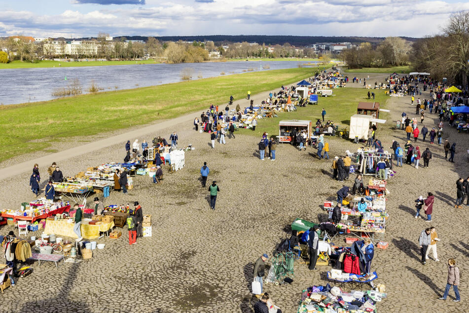An der Elbe könnt Ihr wieder nach den tollsten Schnäppchen suchen!