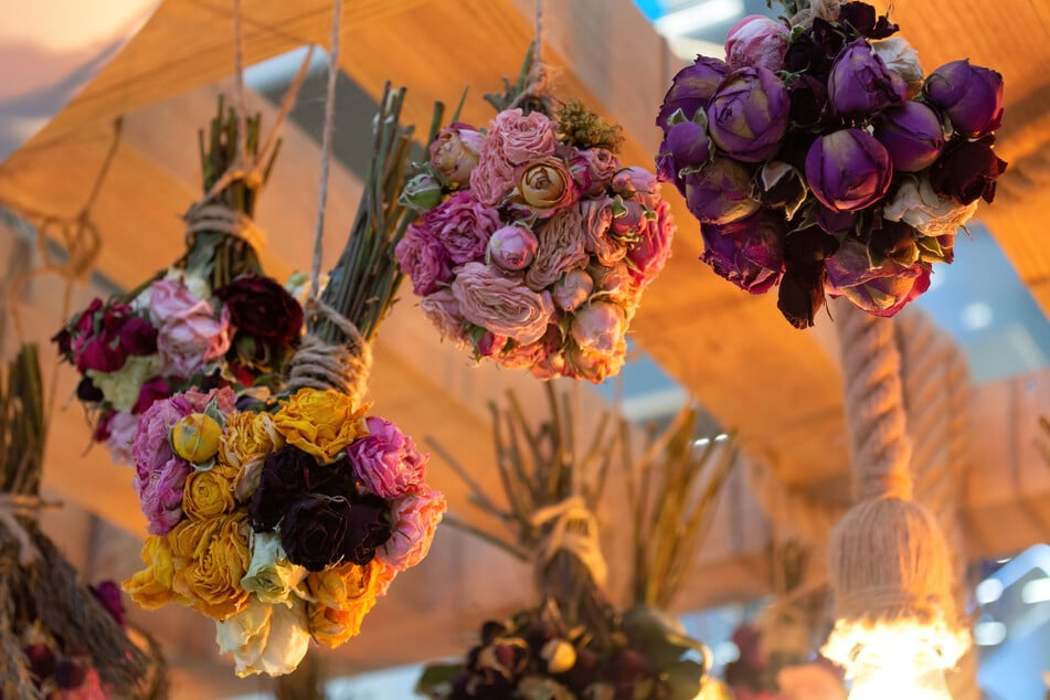 Die Winterphantasie im Blumenland Engler entführt Euch in magische Blumenwelten. (Symbolbild)