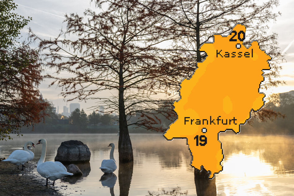 Am kommenden Samstag sollen die Höchsttemperaturen in Hessen laut "wetteronline.de" (Grafik) noch einmal auf bis zu 20 Grad steigen.