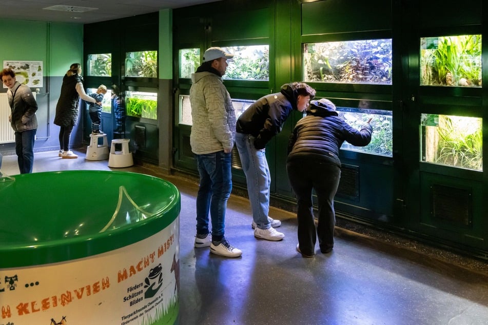 Chemnitz: Es lebe das Vivarium! Hinter den Kulissen im Chemnitzer Amphibienhaus