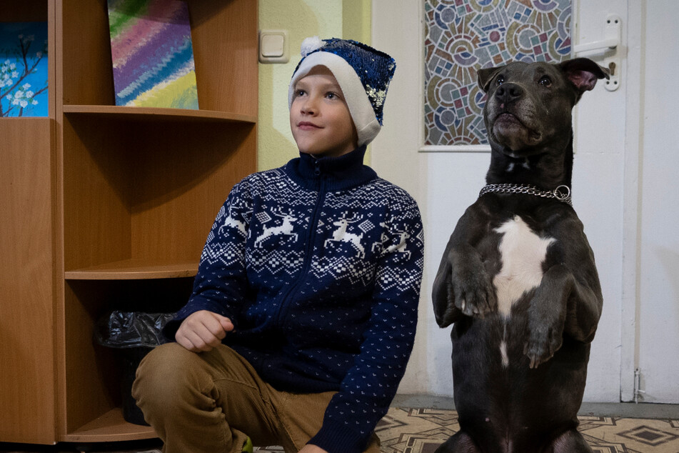 Pitbull-Terrier Bice hilft ukrainischen Kindern mit Kriegstrauma