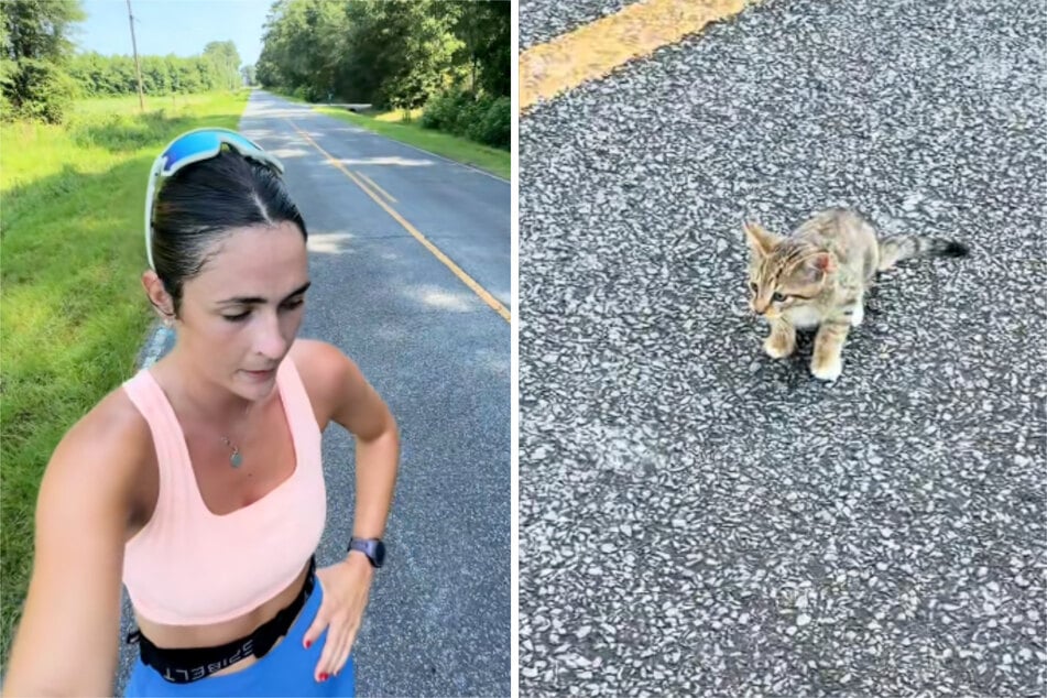 Sportlerin Kaitlyn entdeckte beim Joggen eine Hilflose Babykatze.