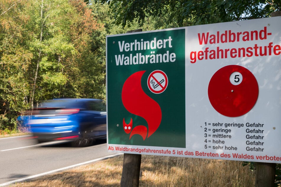 Eine Warntafel zeigt Waldbrandstufe 5 an. Vor allem in den Nadelwäldern in Nordsachsen herrscht höchste Brandgefahr.