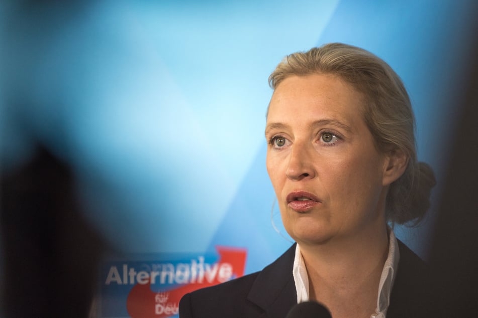 Ob sich Alice Weidel (47) auf den Vorschlag einlässt, ist noch unklar.